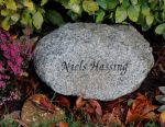 Niels Hassing.JPG